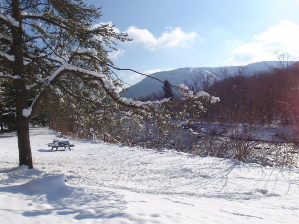 Hunter View Lodging Dış mekan fotoğraf