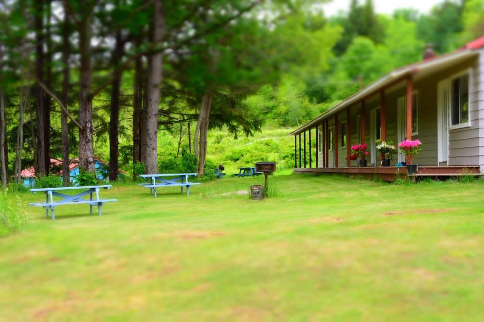 Hunter View Lodging Dış mekan fotoğraf