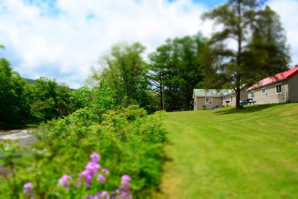 Hunter View Lodging Dış mekan fotoğraf