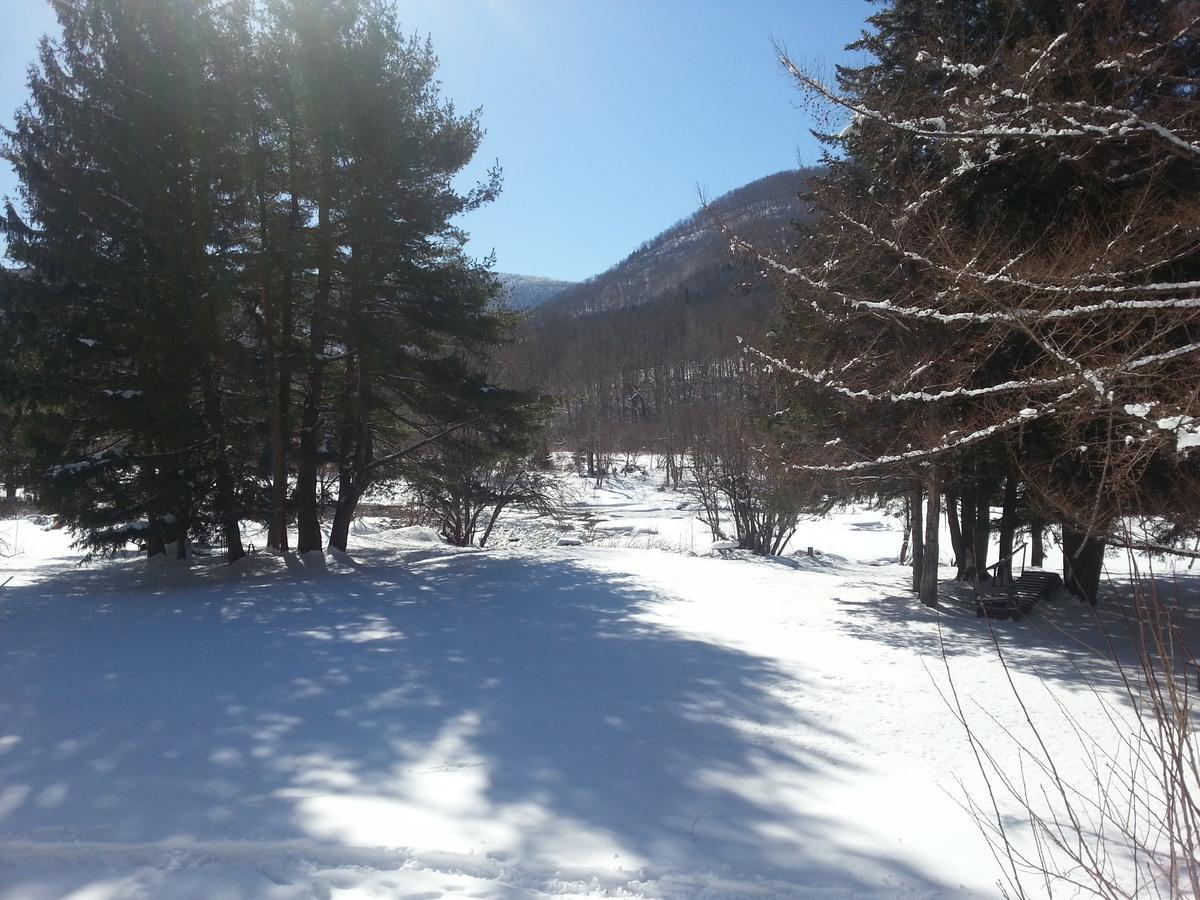 Hunter View Lodging Dış mekan fotoğraf